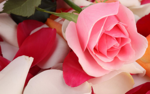 650750 (a): :2560x1600